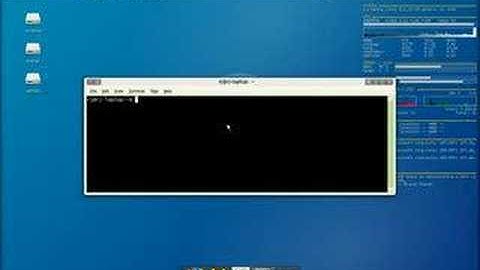 Beryl + Avant-window-navigator