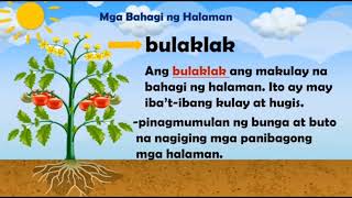 MGA BAHAGI NG HALAMAN