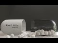 Penicillin Capsule drug tablet Antibiotic Resistant Bacterium No Watermark Free iStock Video Footage