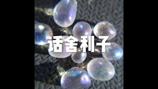 201801 话舍利子23141