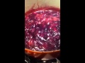 Alan Hamel making Homemade Organic Berry Jam
