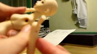 BJD :: Doll Comparison: Volks EB Beauty Vs. Obitsu Slimbody