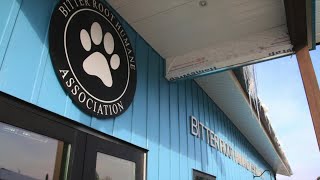 Bitter Root Humane Association readies for move into new home