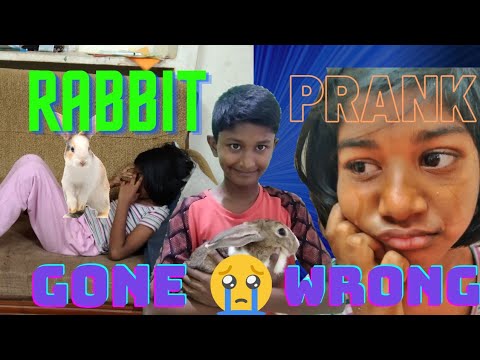 Rabbit extreme prank ππ° gone wrong πΏ she cried π wait for the twist π§ ...