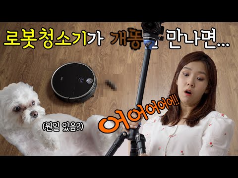 드디어 개똥을 피해가는 로봇청소기 나왔습니다! (치후360 S10)