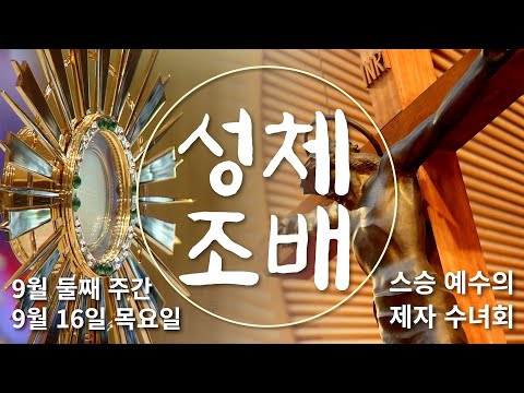 영상썸네일