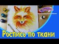 Роспись по ткани. Как разрисовать футболку