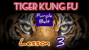 learning kung fu at small space / tiger kung fu lesson 3 / 虎拳第三课
