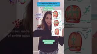 Protein Synthesis Translation RNA to protein in 1 minute #biology #microbiology #science #lab Protein Synthesis Translation RNA to protein in 1 minute #biology #microbiology #science #lab