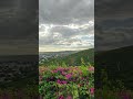 Ponce🏝️🏝️🏝️ #ponce #puertorico #youtubreels #travelshorts