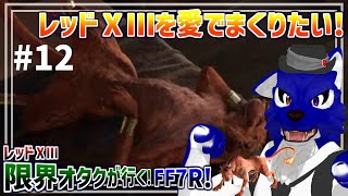 【 FF7 REBIRTH ※ネタバレ注意 】レッドⅩⅢ限界オタクが行く！コスタデルソルでバカんすダ!?ぱーと2…脳筋オオカミのﾘﾊﾞｰｽ調査その12【 #ケモノVtuber 】