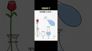 #抖音小游戏 #烧脑瓶子 #益智游戏 #DouyinGames #BrainTeaserBottle #PuzzleGame