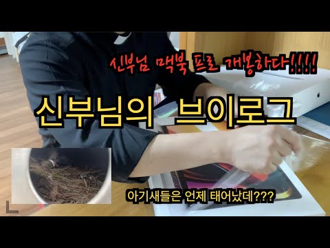 영상썸네일