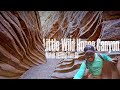 LITTLE WILD HORSE CANYON | Do NOT miss this One! | San Rafael Swell | Utah Hikes