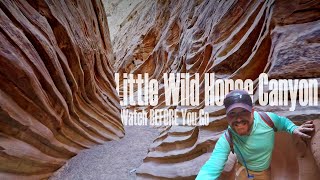 LITTLE WILD HORSE CANYON | Do NOT miss this One! | San Rafael Swell | Utah Hikes