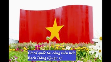 TP Hồ Chí Minh rực rỡ cờ hoa chào mừng Quốc khánh 29
