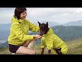 No ceilings, just me and my favorite hiking partner. 🏔️ #Shorts #dog