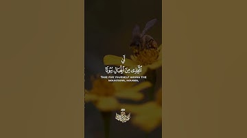 وَأَوۡحَىٰ رَبُّكَ إِلَى ٱلنَّحۡلِ أَنِ ٱتَّخِذِی مِنَ ٱلۡجِبَالِ بُیُوتࣰا|سورة النحل| #allahquran