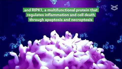 Understanding molecular mechanisms of cholangiocarcinoma