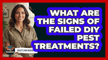 What Are the Signs of Failed DIY Pest Treatments?