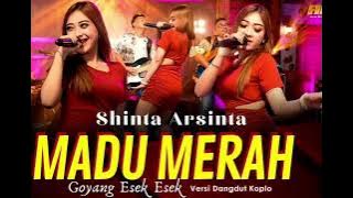 Madu Merah - Shinta Arsinta || Gitar backing Track