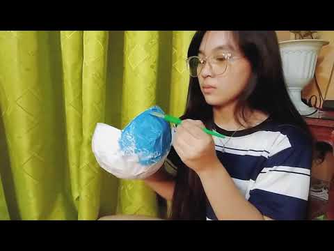 How to make an easy 3D Animal Cell