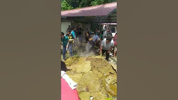 BARAPEN / BAKAR BATU, BIAK PAPUA #videoshort #bestmoments #humaninterestnews #loveculture #update