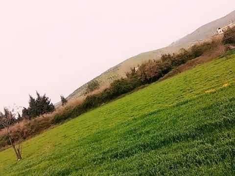 حالات واتس اب اغنيه توقع وانت توقع على الجرح 