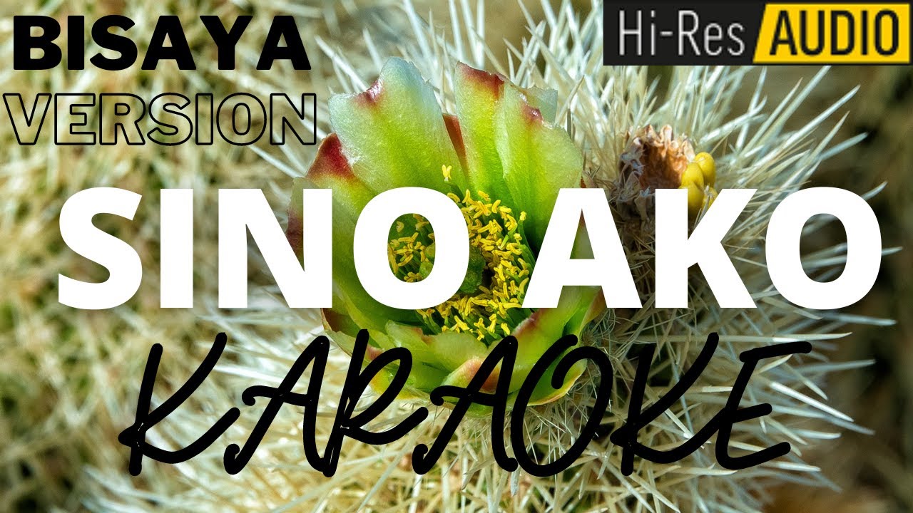 Kinsa Ako Karaoke MinusOne Instrumental YouTube