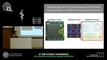 Peres Luca - Multiple alignment of packet sequences for efficient communication (...)