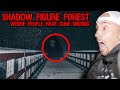 THIS FOREST IS SO HAUNTED PEOPLE REFUSE TO GO IN AFTER DARK