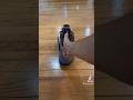 Can shoe laces change how a sneaker looks  jordan 4 purple canyon sneakers shoes jordan shorts