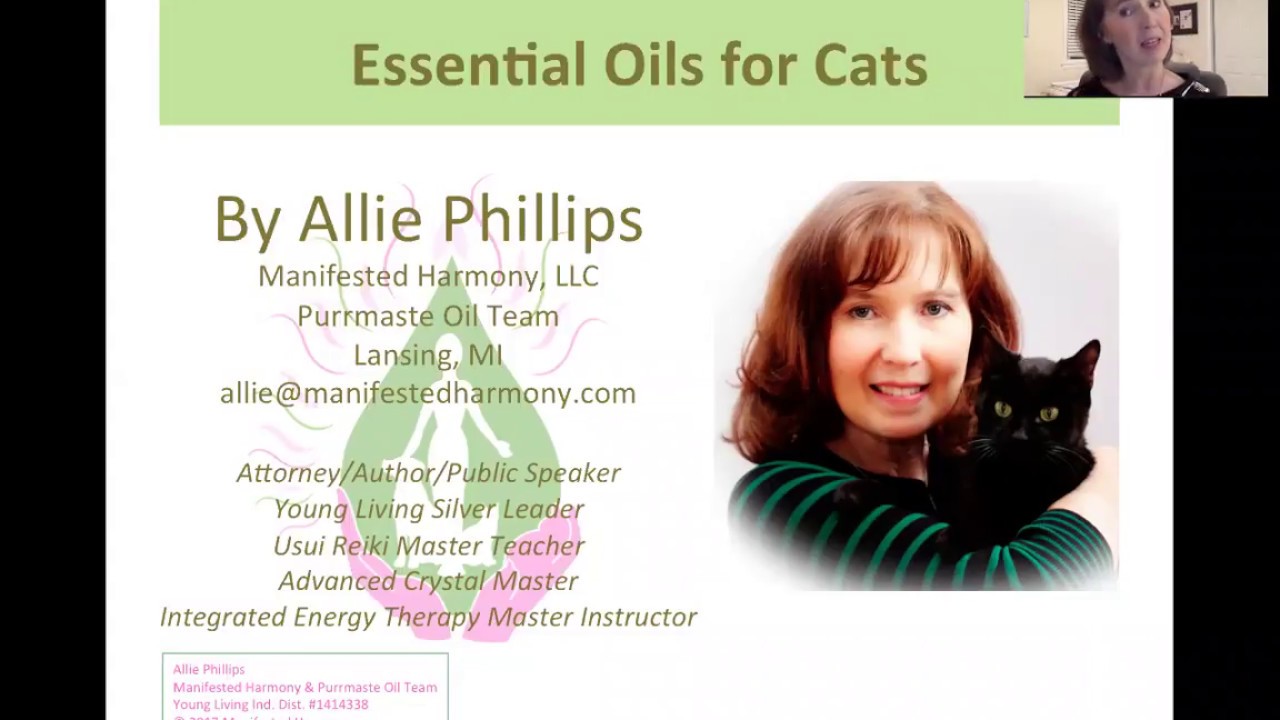 Young Living Essential Oils for Cats - YouTube