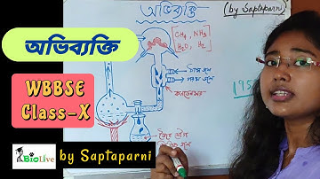 অভিব্যক্তি (Part-1): Evolution: Chapter 4: WBBSE Class 10 Life science: মাধ্যমিক জীবনবিজ্ঞান