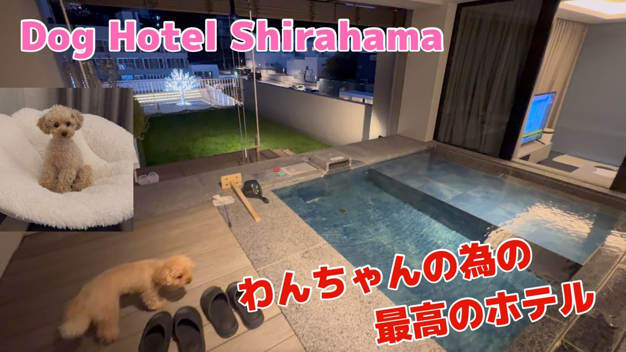 【必見！】露天風呂にプライベートドックラン！わんちゃんと一緒に過ごす最高のリゾート