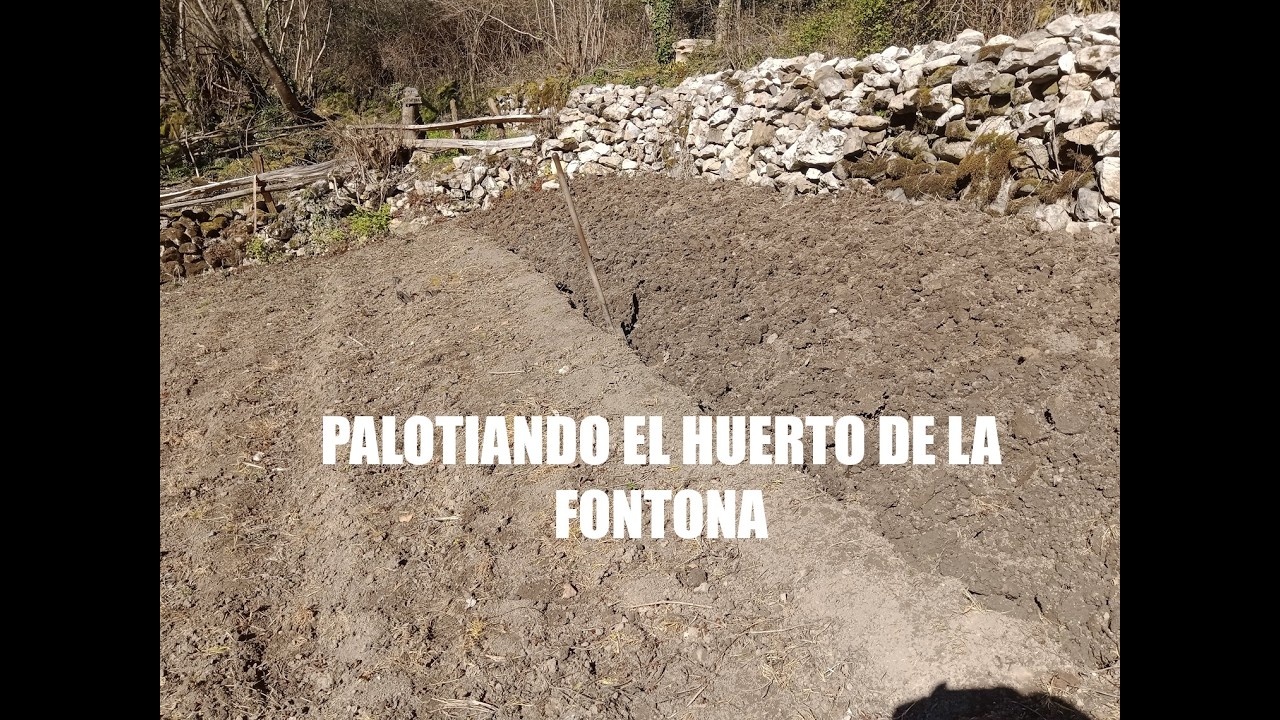 PALOTIANDO LA FONTONA