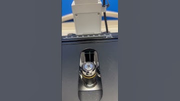 AmScope Inverted Microscope w/ 4 Objectives, MU500 Camera & FMA050 Fixed Adapter, Serial #: 1908798