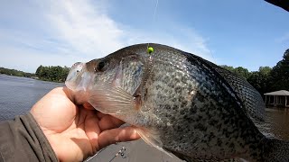 Unboxing 2.5'' Swim bait Mold/Pour  To Catch