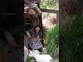 #remix #music #shortvideo #funny