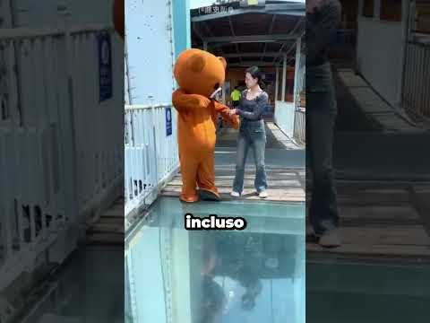 Tenía Miedo De Cruzar El PUENTE De Cristal... Hasta Que Un PANDA La Ayudó 😱🐼