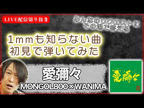 【初見ギター】MONGOL800×WANIMA　愛彌々　初見で弾いてみた