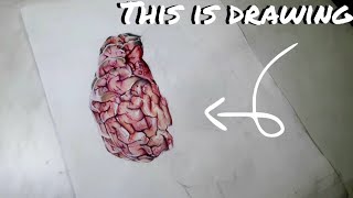 I draw hyper realistic BRAIN | Time-lapse | Pt.1