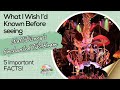5 Things You Should Know Before Watching the Enchanted Tiki Room | Full Show at Magic Kingdom