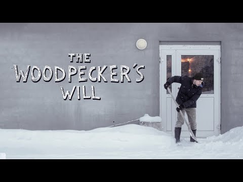 The Woodpecker's Will #1 | Backyard Snow & Indoor Skate