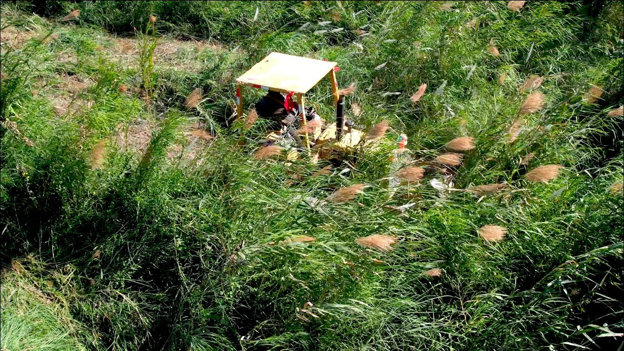 The Perfect Activity Technique Dozer D31P Opening Forest Road And Clearing Forest Making New Road