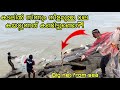 Big Net with Full of Fishes from Arabian Sea | നിറയെ മീനുള്ള കടലിലെ വല ..