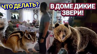 :    !