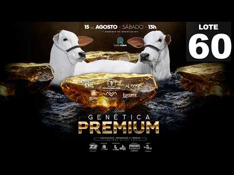 LOTE 60   LUCE 616