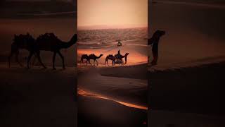 Ömer Bükülmezoğlu #deephouse #travel #remix #housemusic