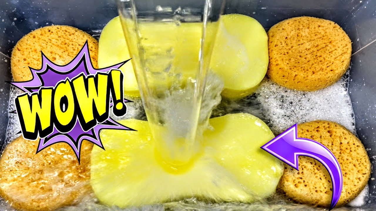 ☺️Jug of PINESOL ASMR Astonish Sponge Squeezing W/ Rinse☺️